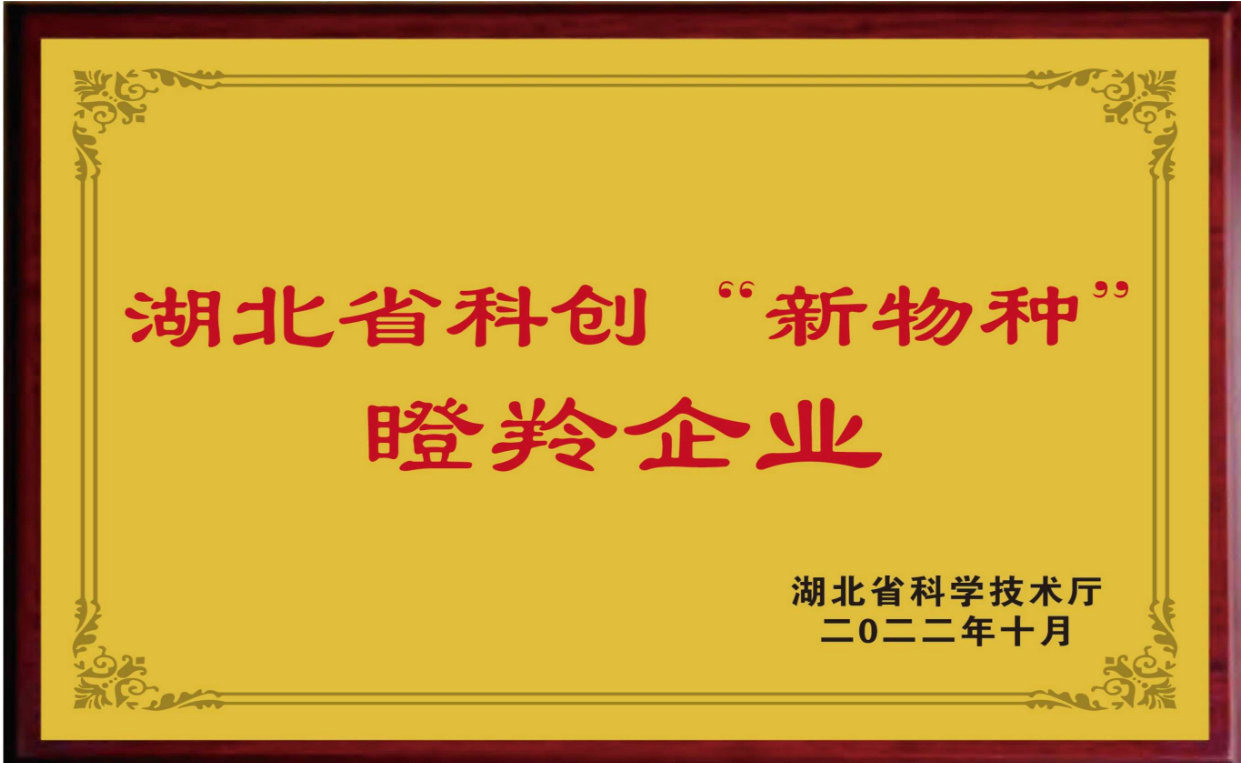 PVC 異型材
